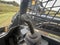2022 JOHN DEERE 325G SKID STEER