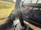 2023 JOHN DEERE 333G SKID STEER