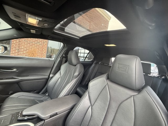 2019 Lexus UX UX 200 F SPORT